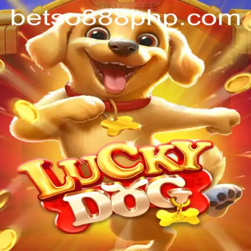 An In-Depth Look at LuckyDog: The Exciting Online Casino Game with BETSO888